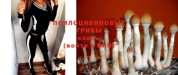 крисы Алексеевка