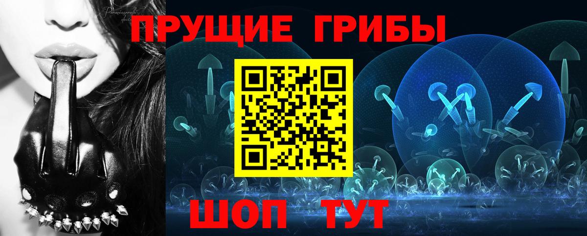 Псилоцибиновые грибы ЛСД Похвистнево