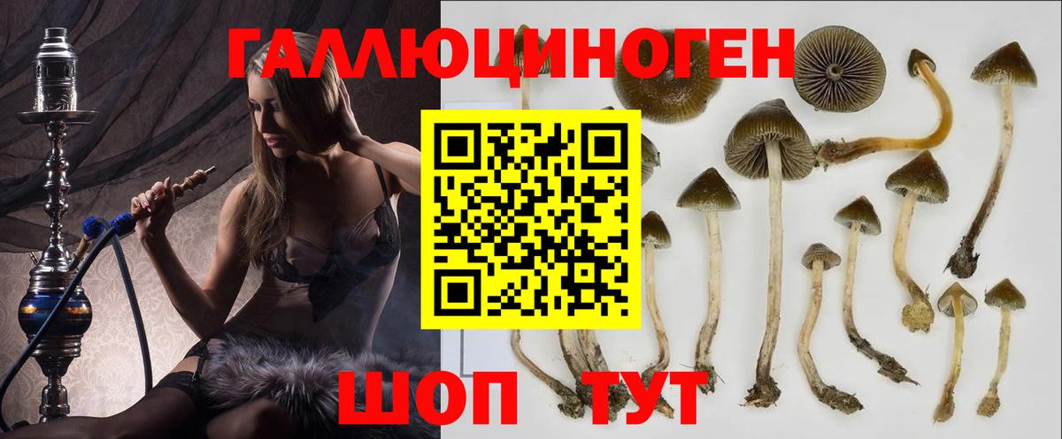 Псилоцибиновые грибы Cubensis  Вход с VPN  Похвистнево 